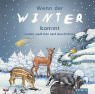 Wenn Der Winter Kommt. CD. Lieder, Gedichte Und Geschichten.