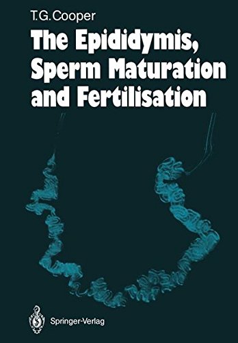 The Epididymis, Sperm Maturation And Fertilisation