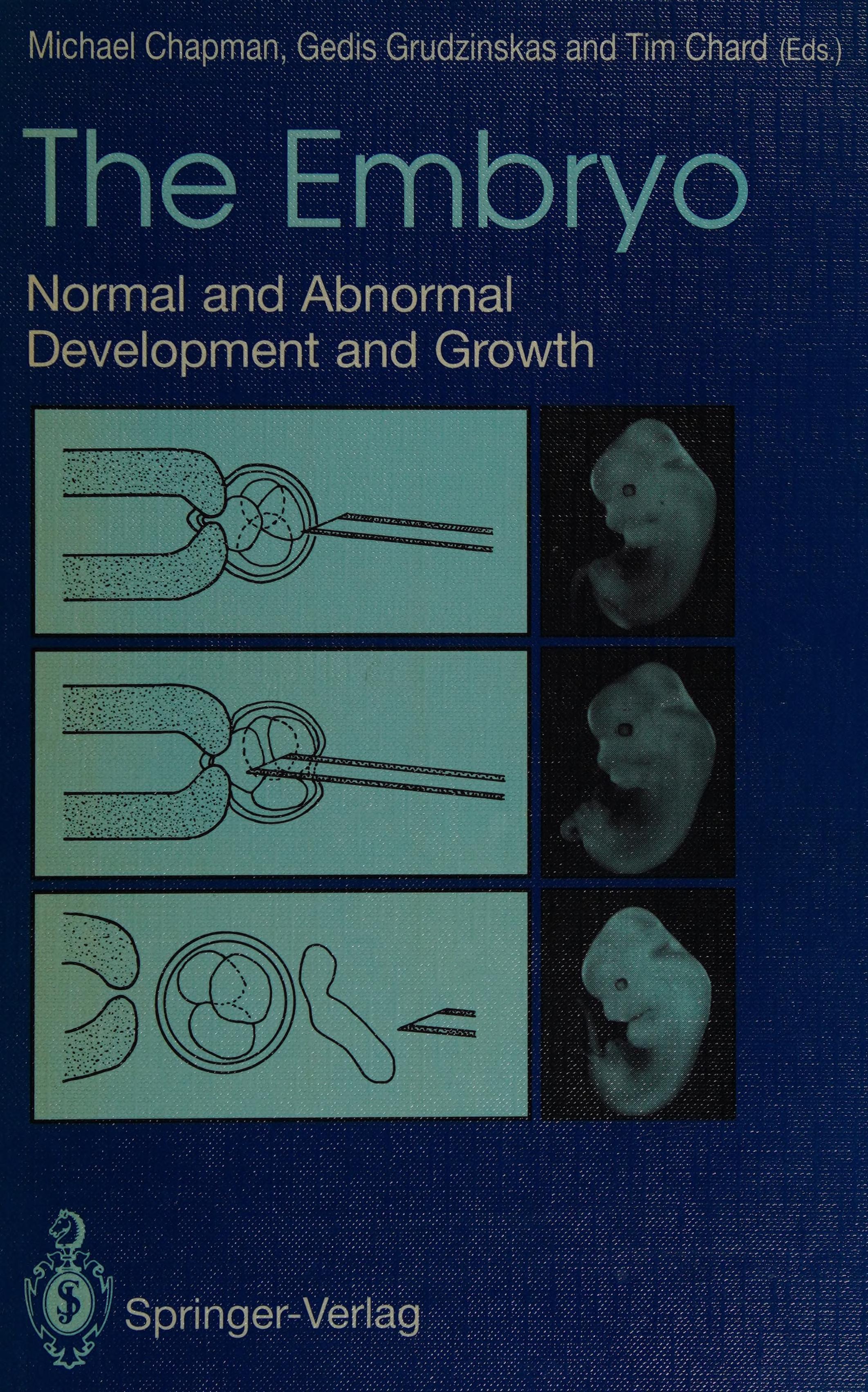 The Embryo