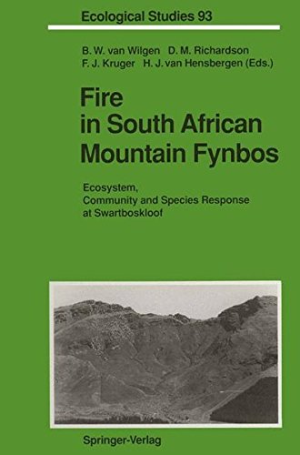 Fire In South African Mountain Fynbos
