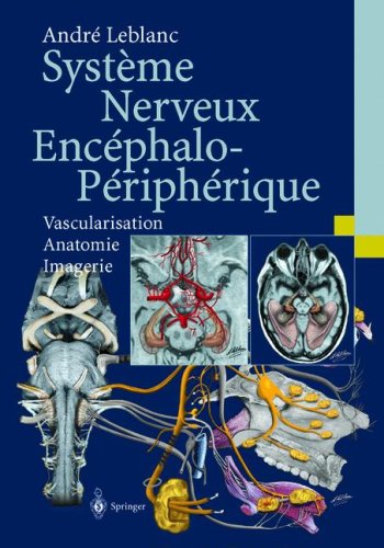 Systa]Me Nerveux Enca(C)Phalo-Pa(C)Ripha(C)Rique: Vascularisation Anatomie Imagerie
