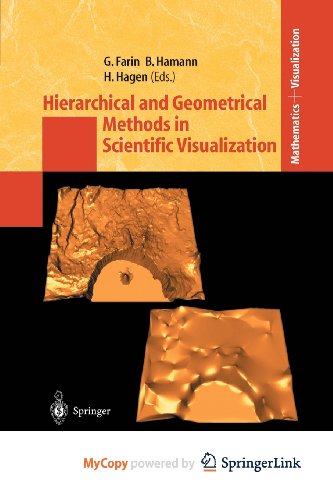Hierarchical and Geometrical Methods in Scientific Visualization