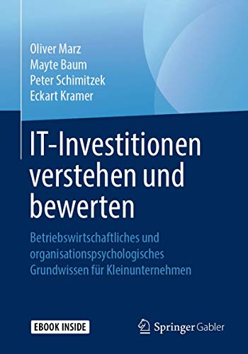 IT-Investitionen Verstehen Und Bewerten: Betriebswirtschaftliches Und Organisationspsychologisches Grundwissen Für Kleinunternehmen
