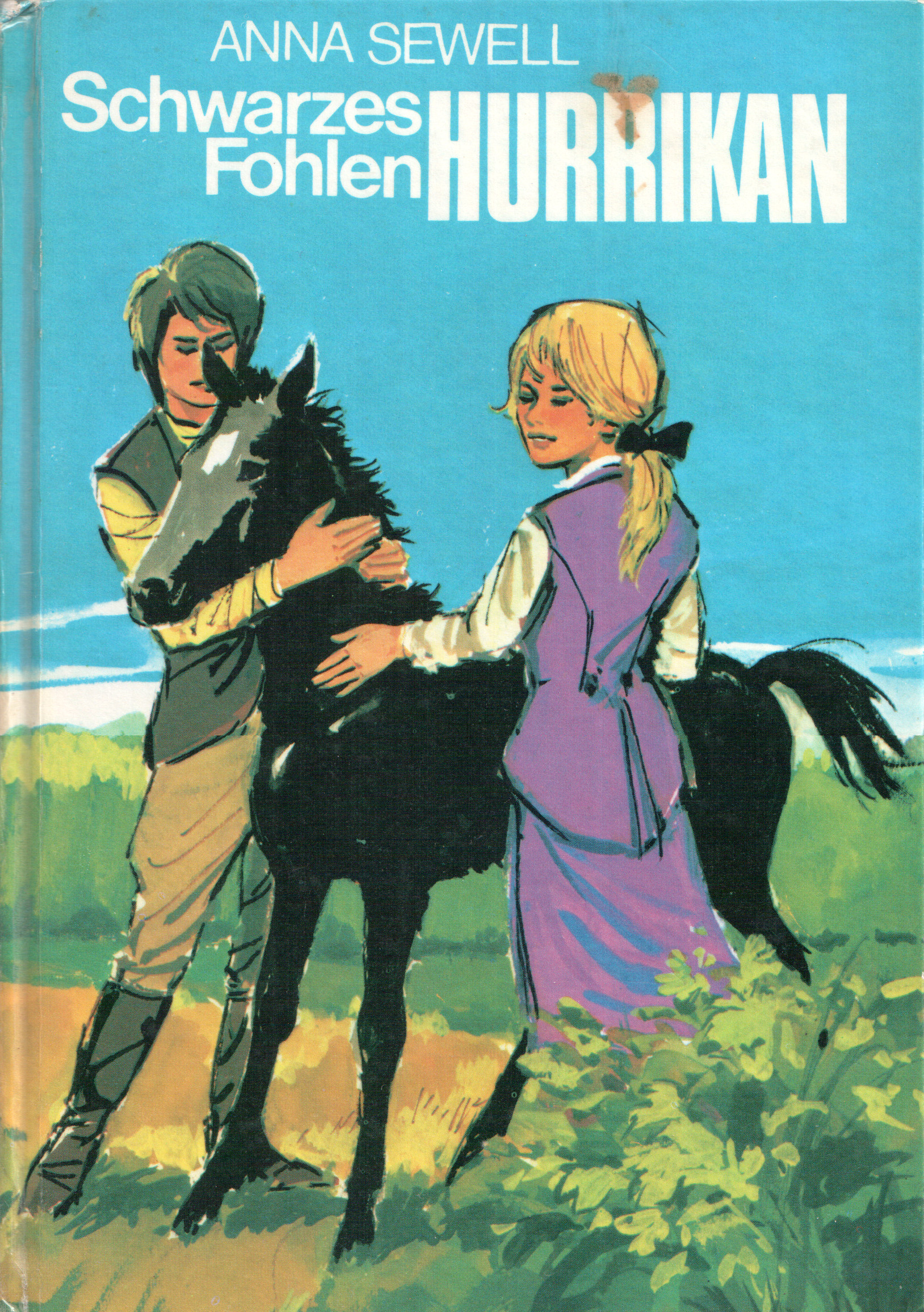 Schwarzes Fohlen Hurrikan