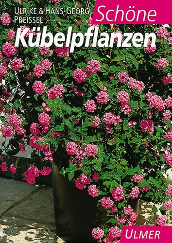 Schöne Kübelpflanzen.