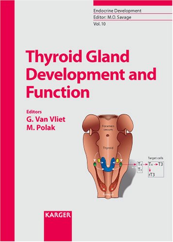 Thyroid Gland Development And Function