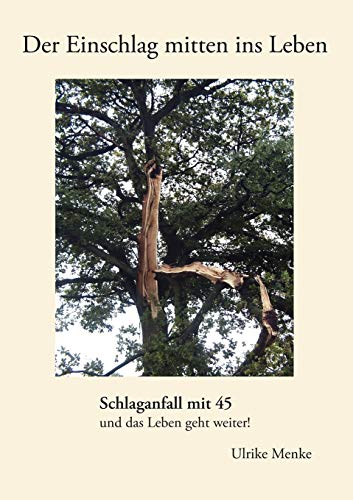 Der Einschlag Mitten Ins Leben