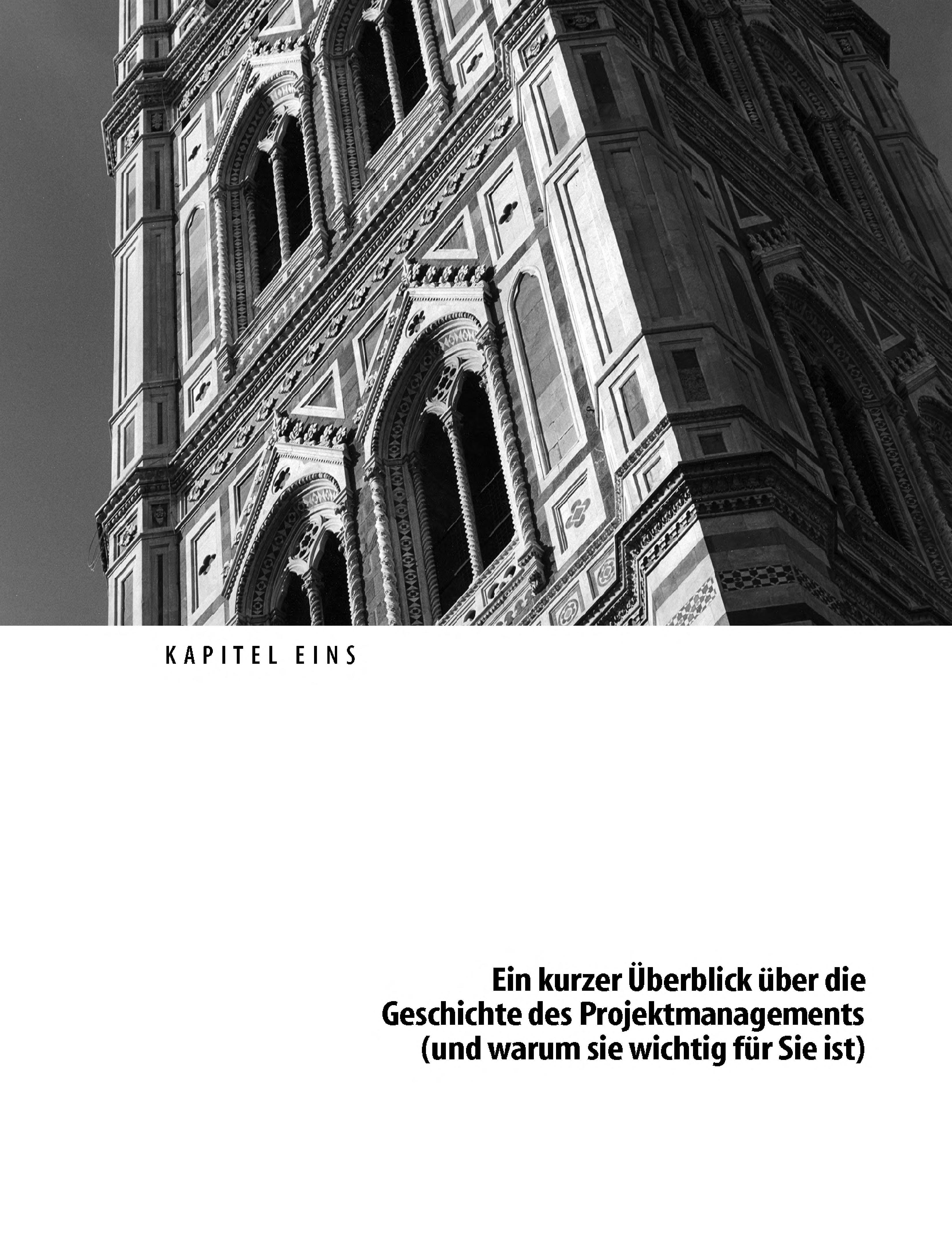 Die Kunst Des IT-Projektmanagements