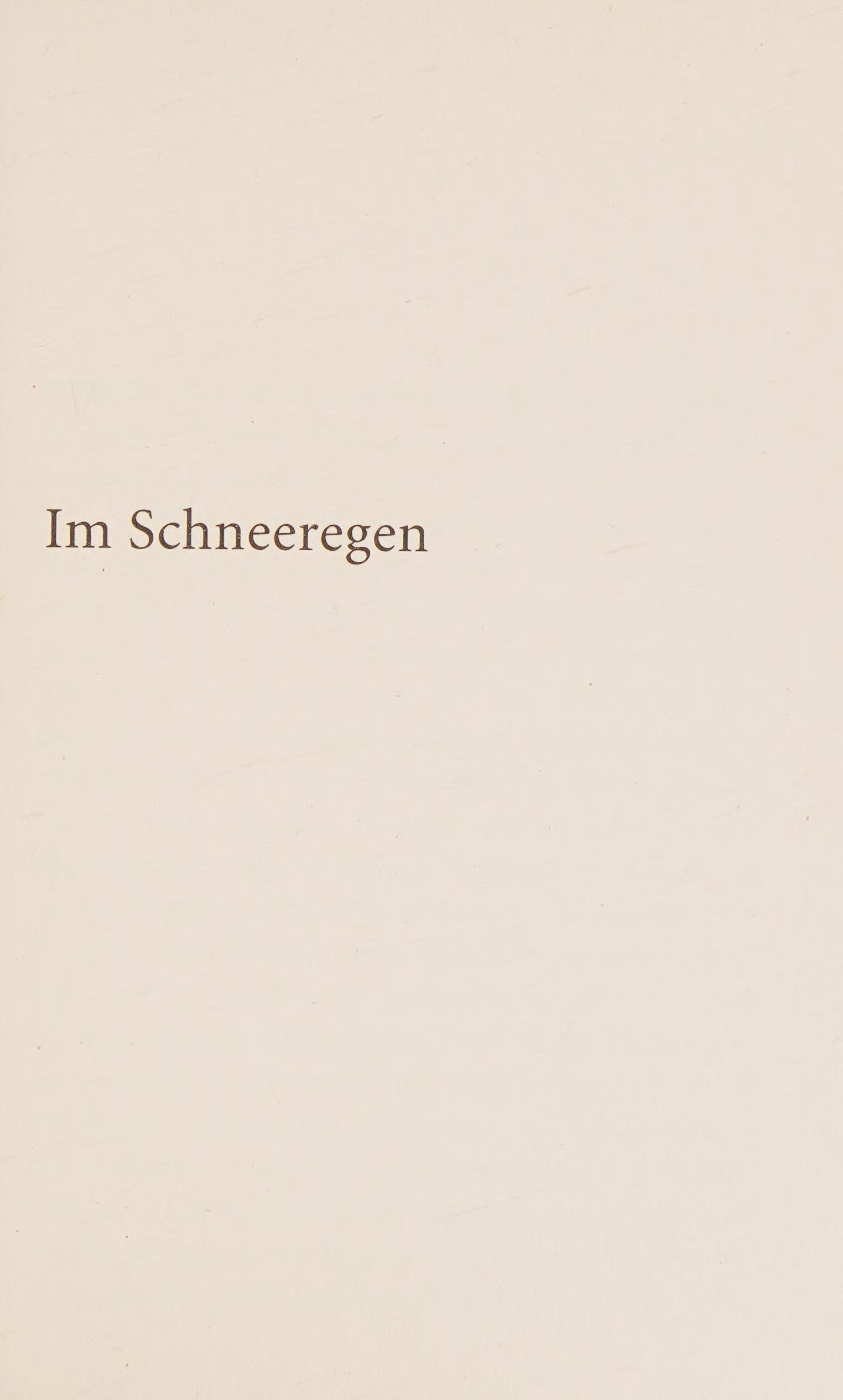 Im Schneeregen