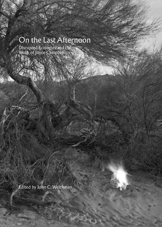 On The Last Afternoon