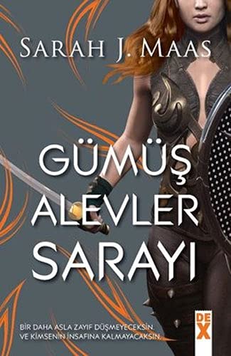 Gümüş Alevler Sarayı by Sarah J. Maas, ISBN 9786050986464