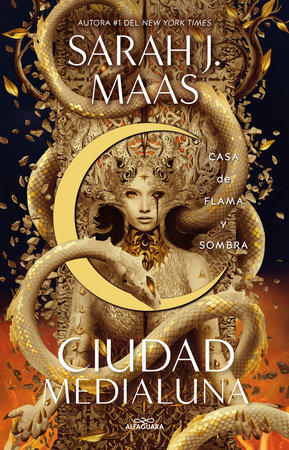 Casa De Flama Y Sombra / House Of Flame And Shadow. by Sarah J. Maas and Sara J. MAAS, ISBN 9786073841146