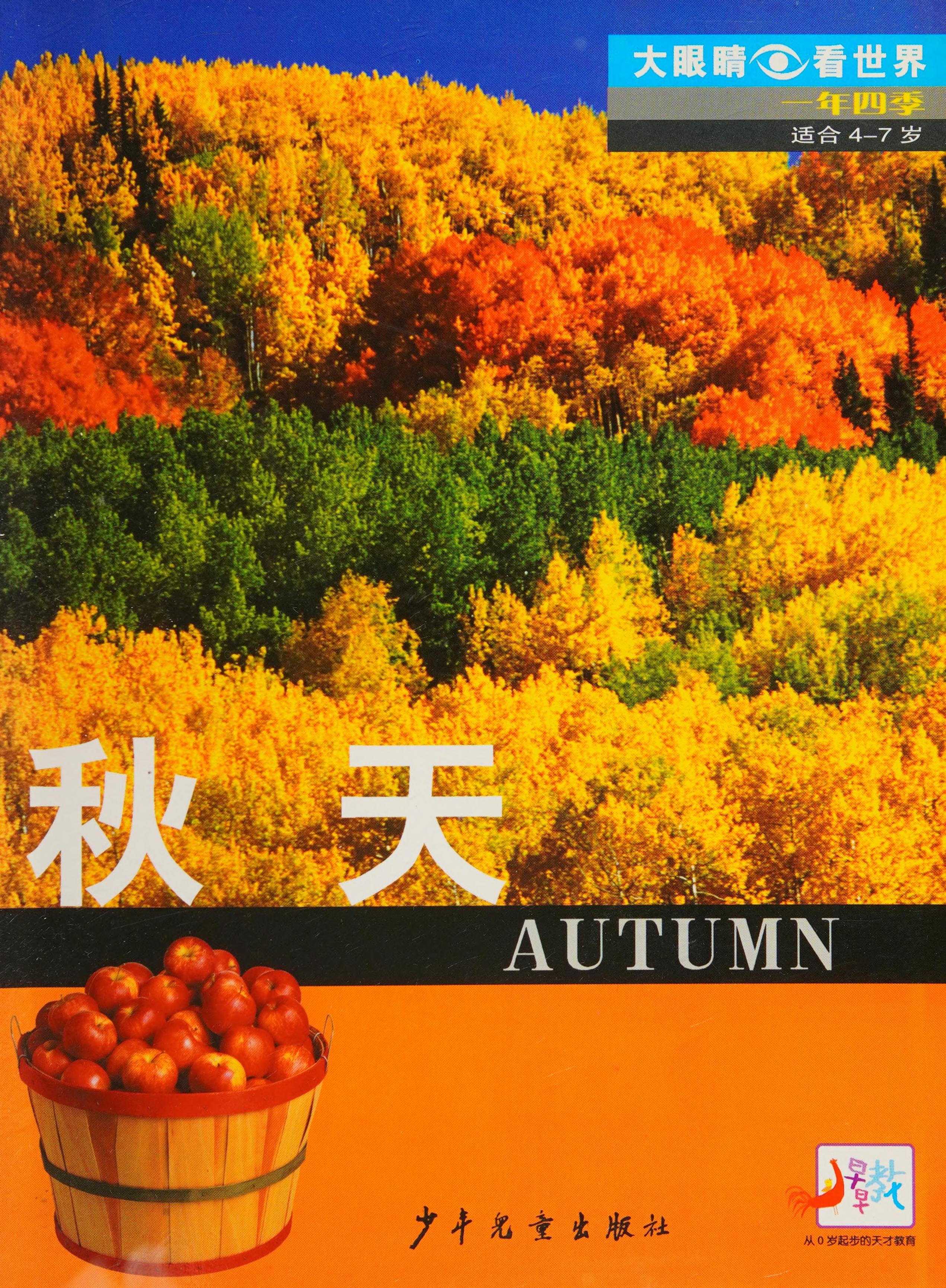 Large Eyes to See the World. Summer Autumn and Winter. Autumn