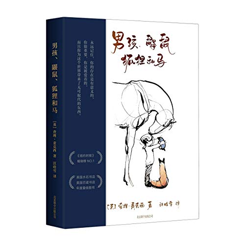 The Boy, the Mole, the Fox and the Horse by Charlie Mackesy, ISBN 9787559645708