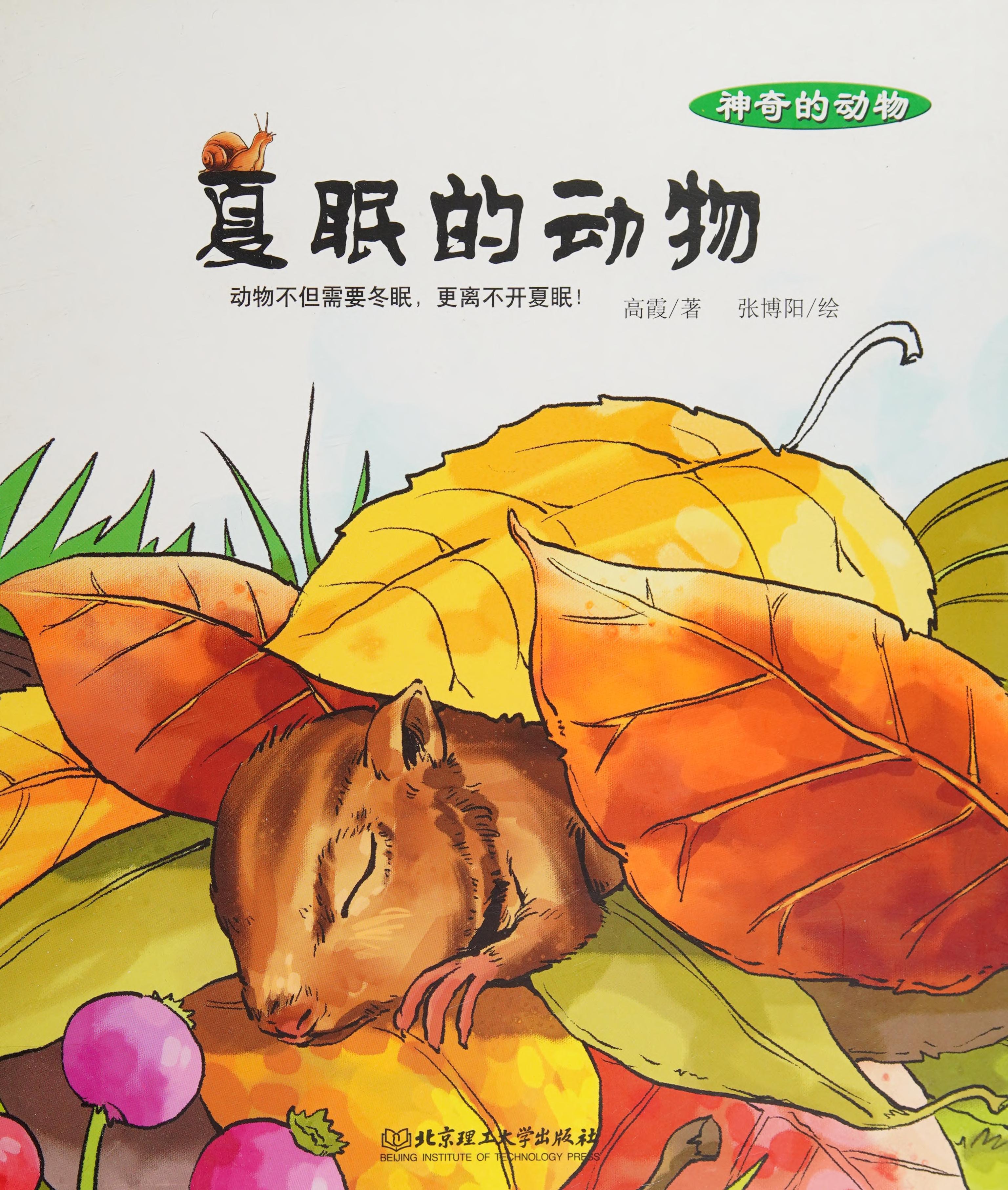 Xia Mian De Dong Wu