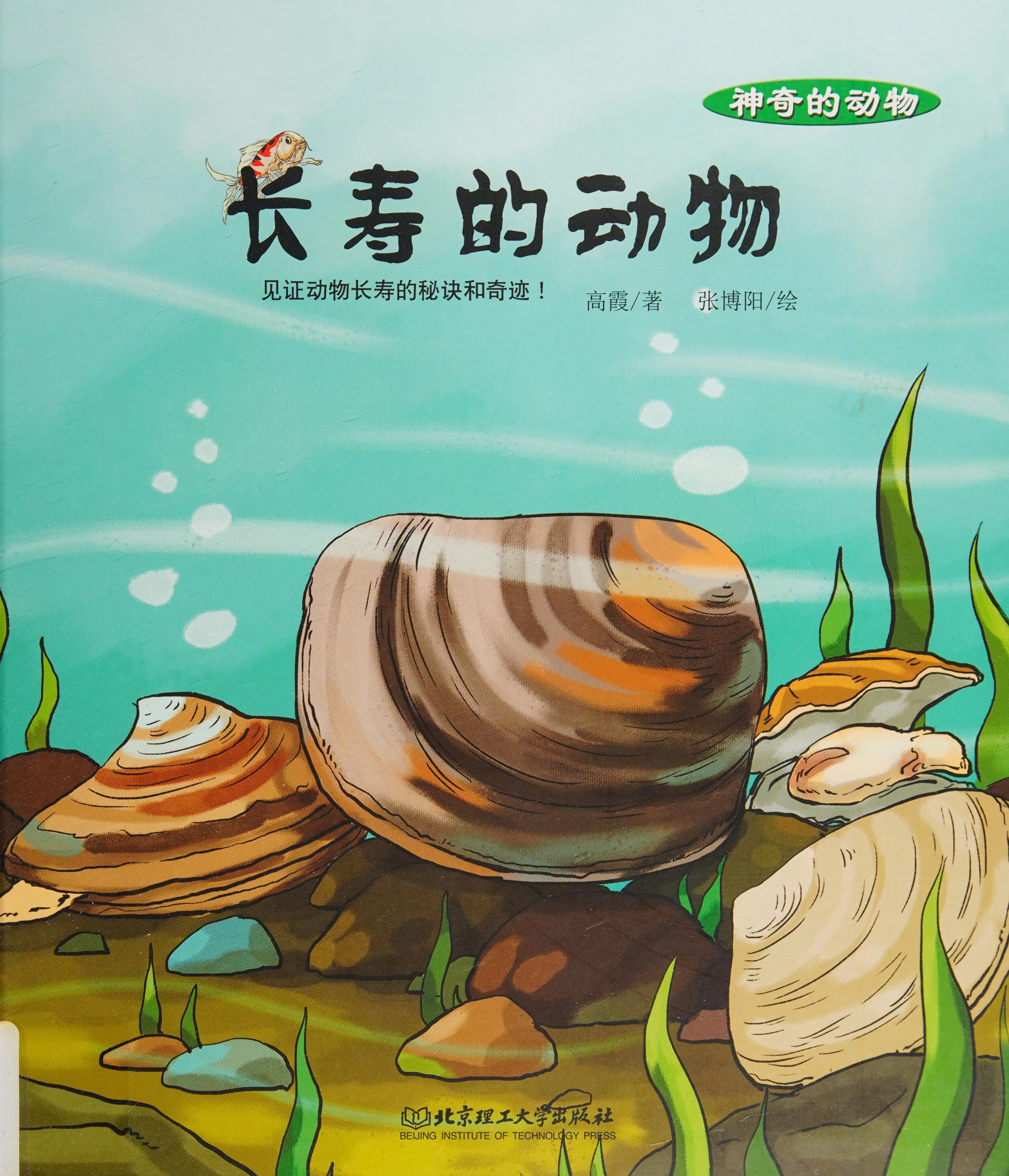 神奇的动物：长寿的动物