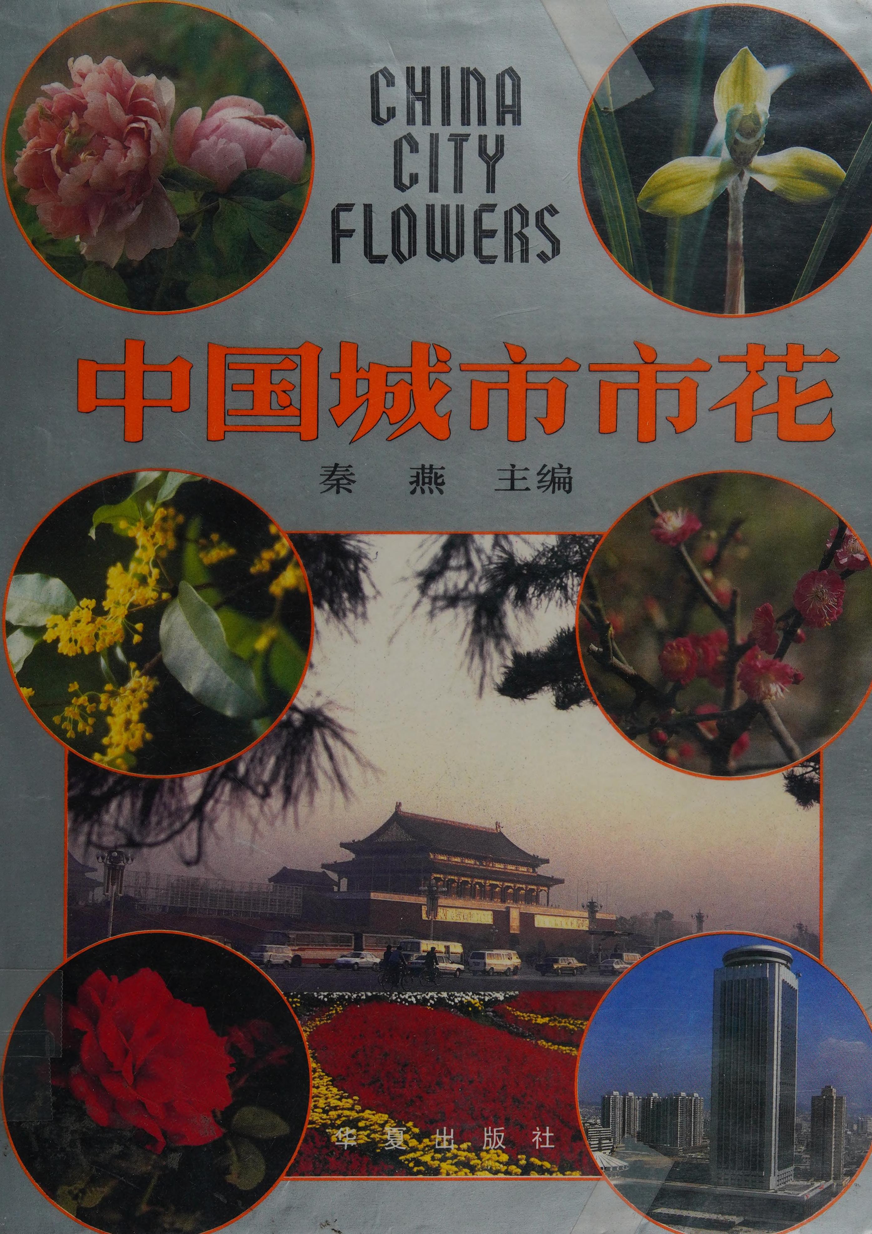 Zhongguo Cheng Shi Shi Hua
