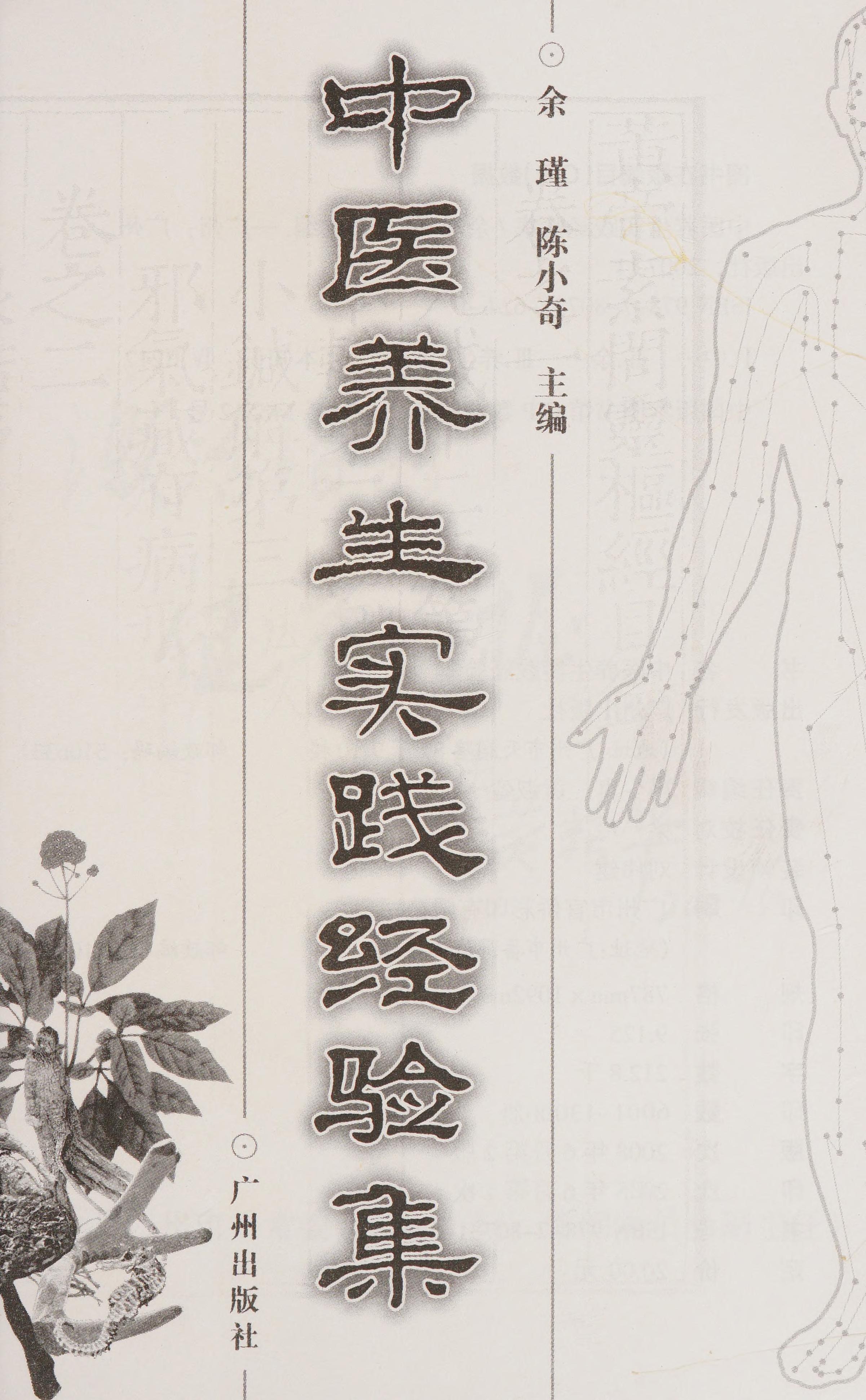 Zhong Yi Yang Sheng Shi Jian Jing Yan Ji