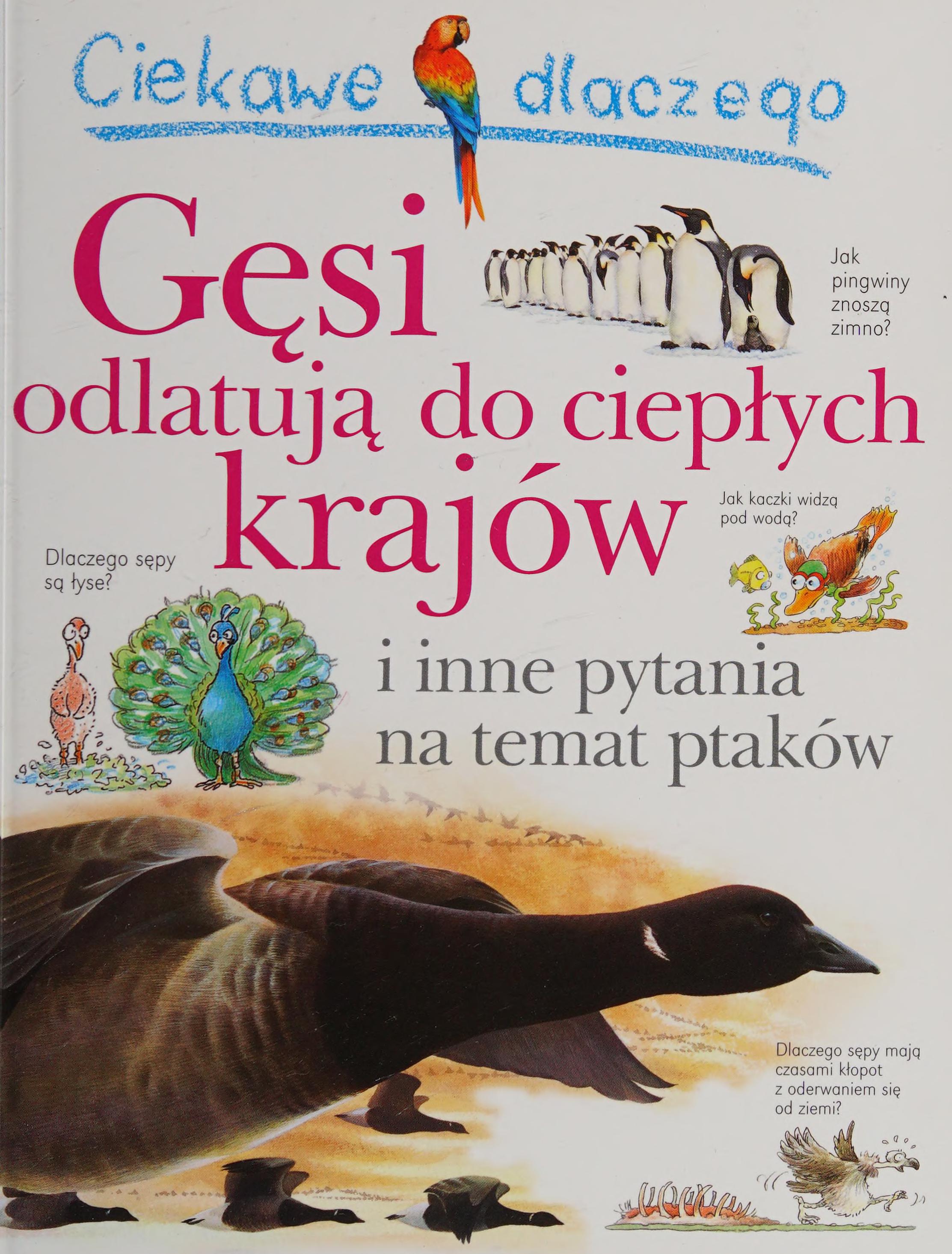 Ciekawe Dlaczego Gesi Odlatuja Do Cieplych Krajow