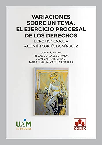 Variaciones sobre un tema el ejercicio procesal de los derechos
