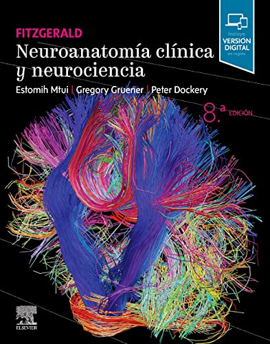 Fitzgerald. Neuroanatomía Clínica Y Neurociencia, 8.ª Edición