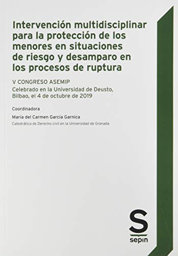 Intervencion multidisciplinar para la proteccion de los menores en situaciones de riesgo y desamparo en los procesos de ruptura