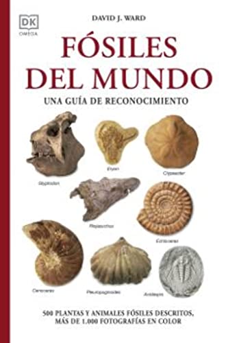 FÓSILES DEL MUNDO