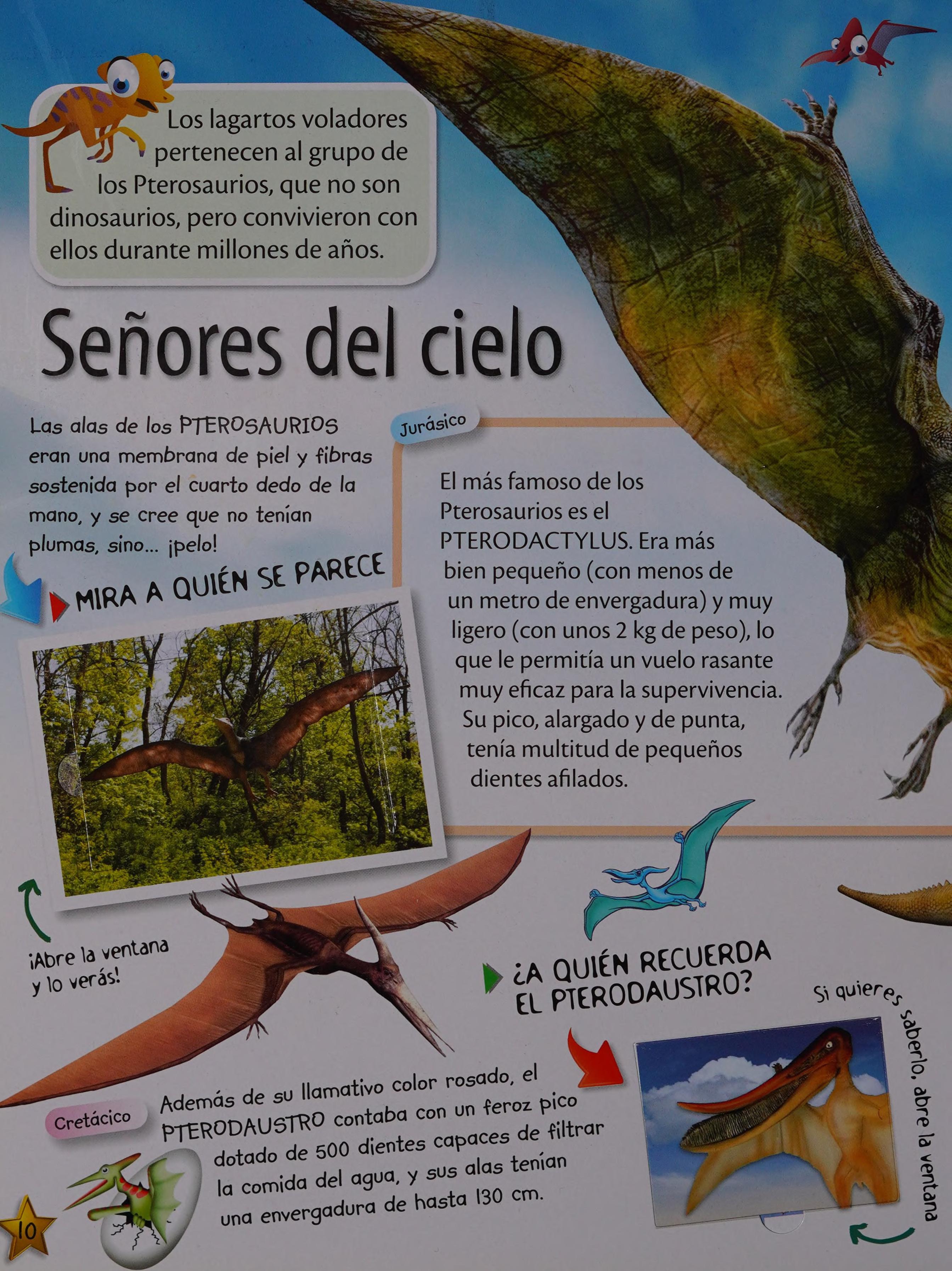 Increibles Dinosaurios / Amazing Dinosaurs