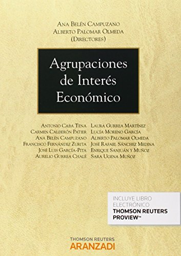 Agrupaciones de Interes Economico