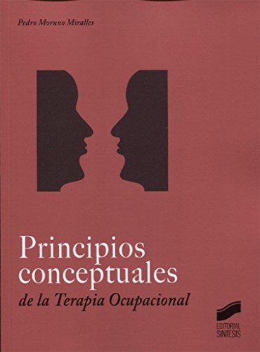 Principios conceptuales en Terapia Ocupacional