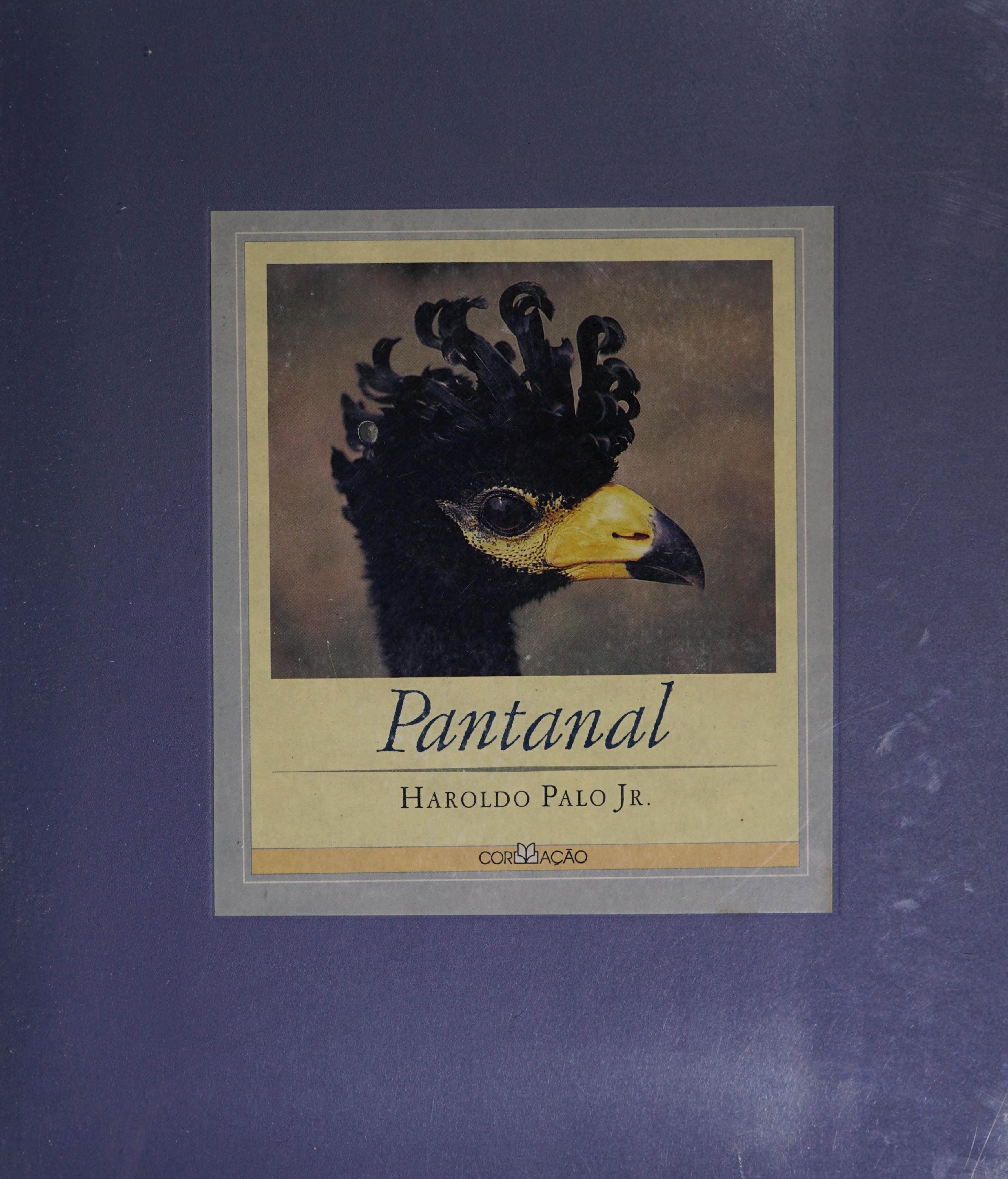 Pantanal
