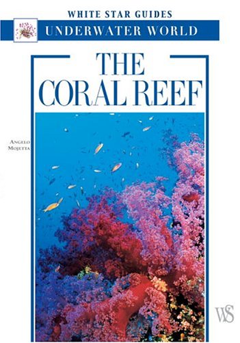 The Coral Reef