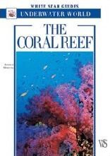 The Coral Reef