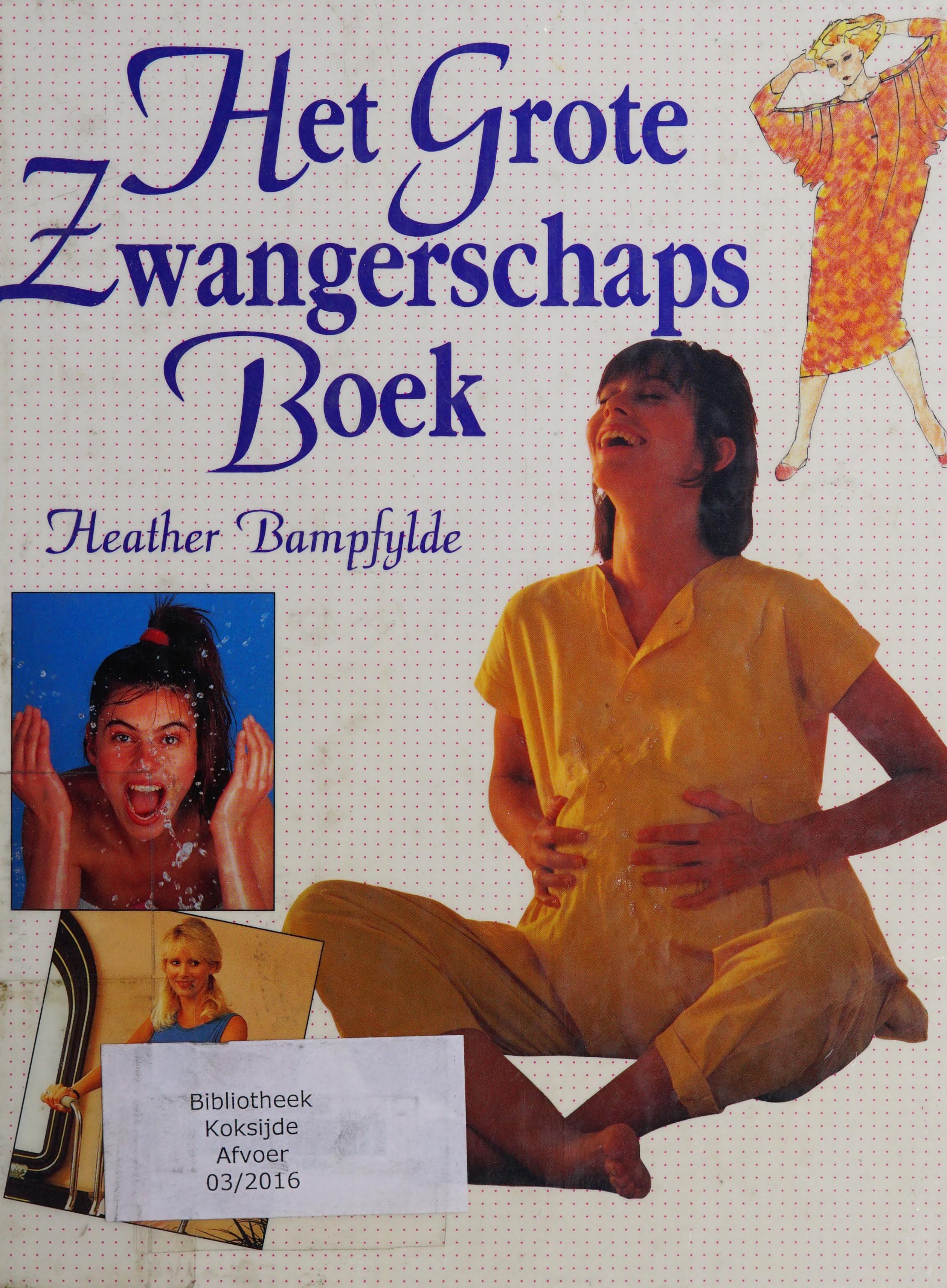 Het Grote Zwangerschapsboek