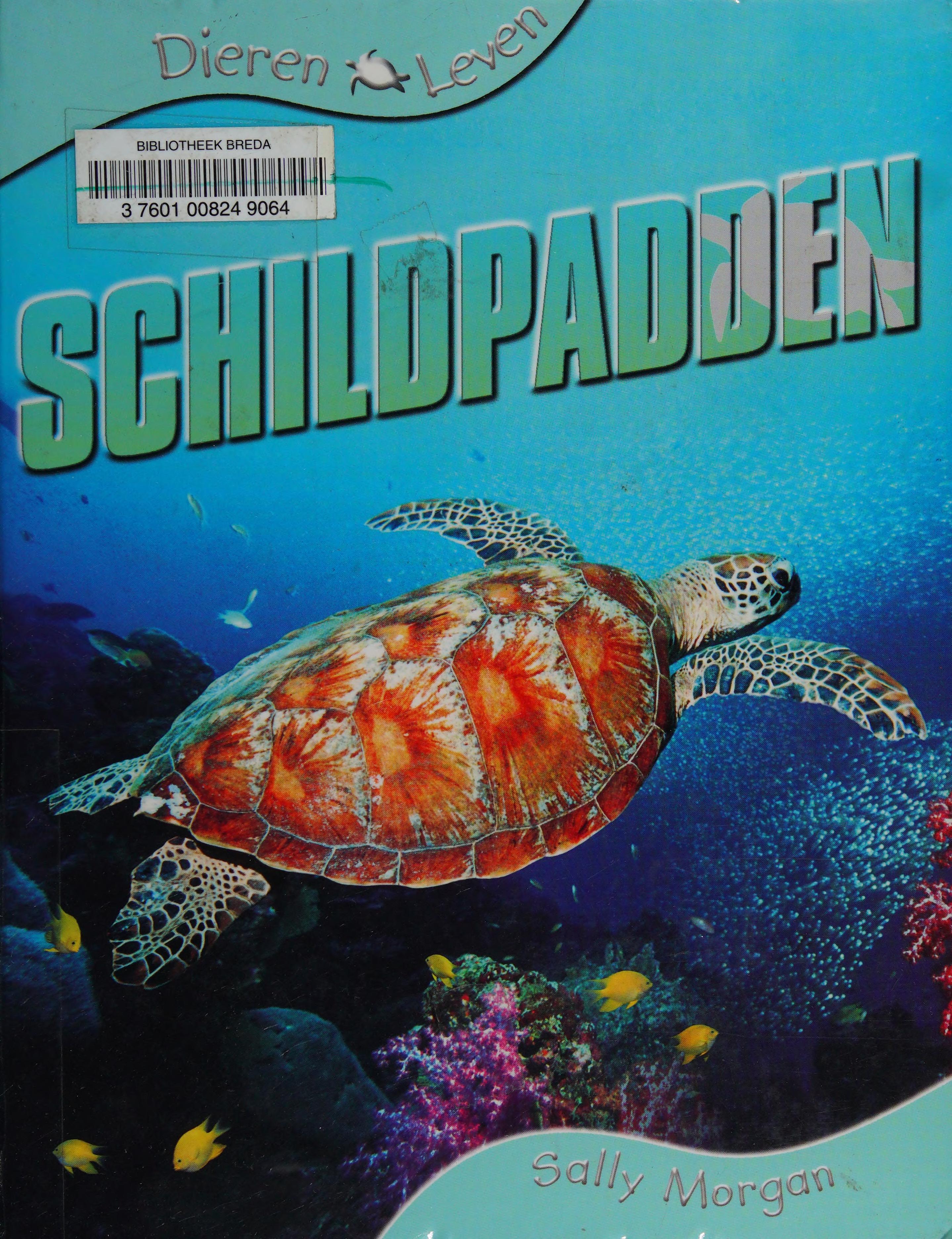 Schildpadden