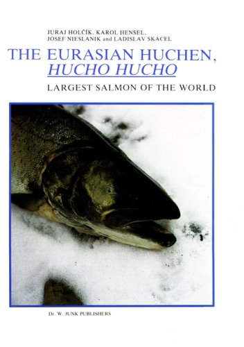 The Eurasian Huchen Hucho Hucho