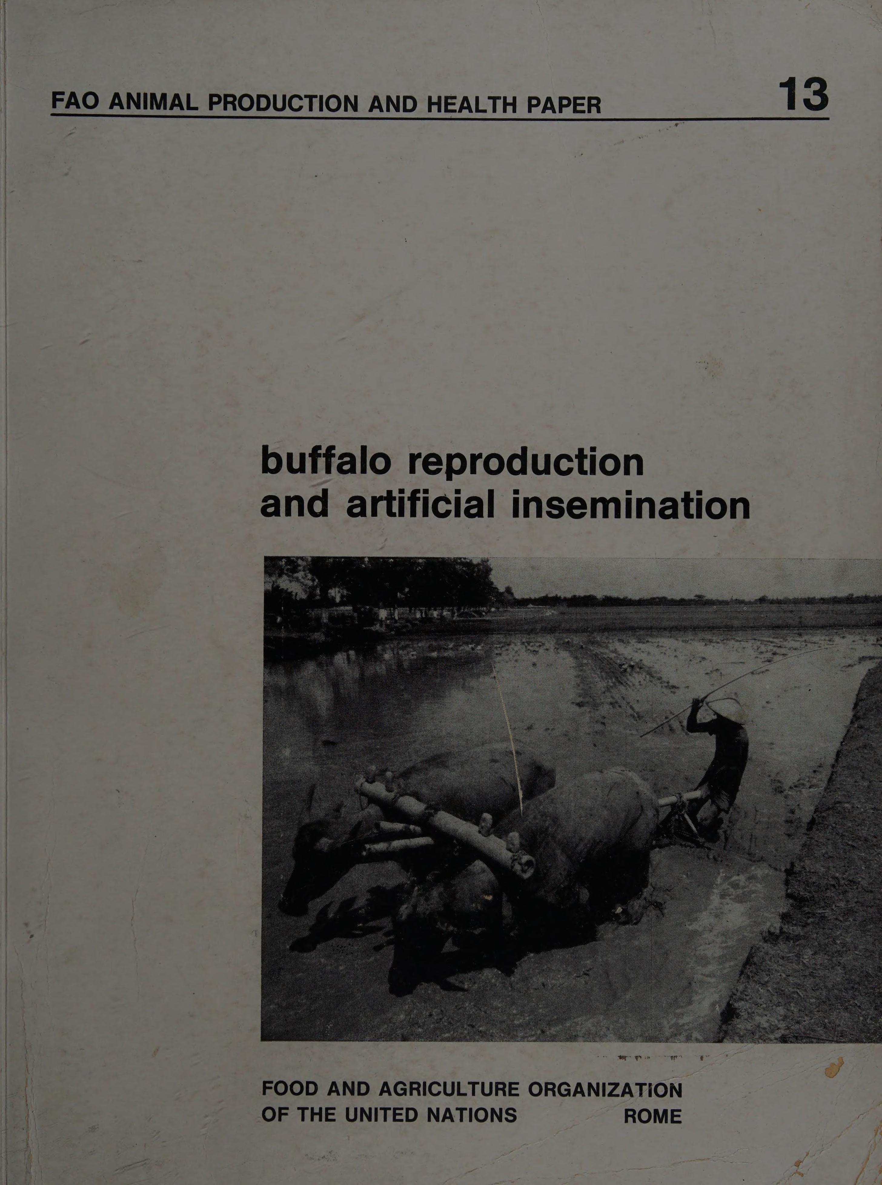 Buffalo Reproduction and Artificial Insemination