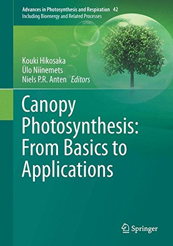 Canopy Photosynthesis