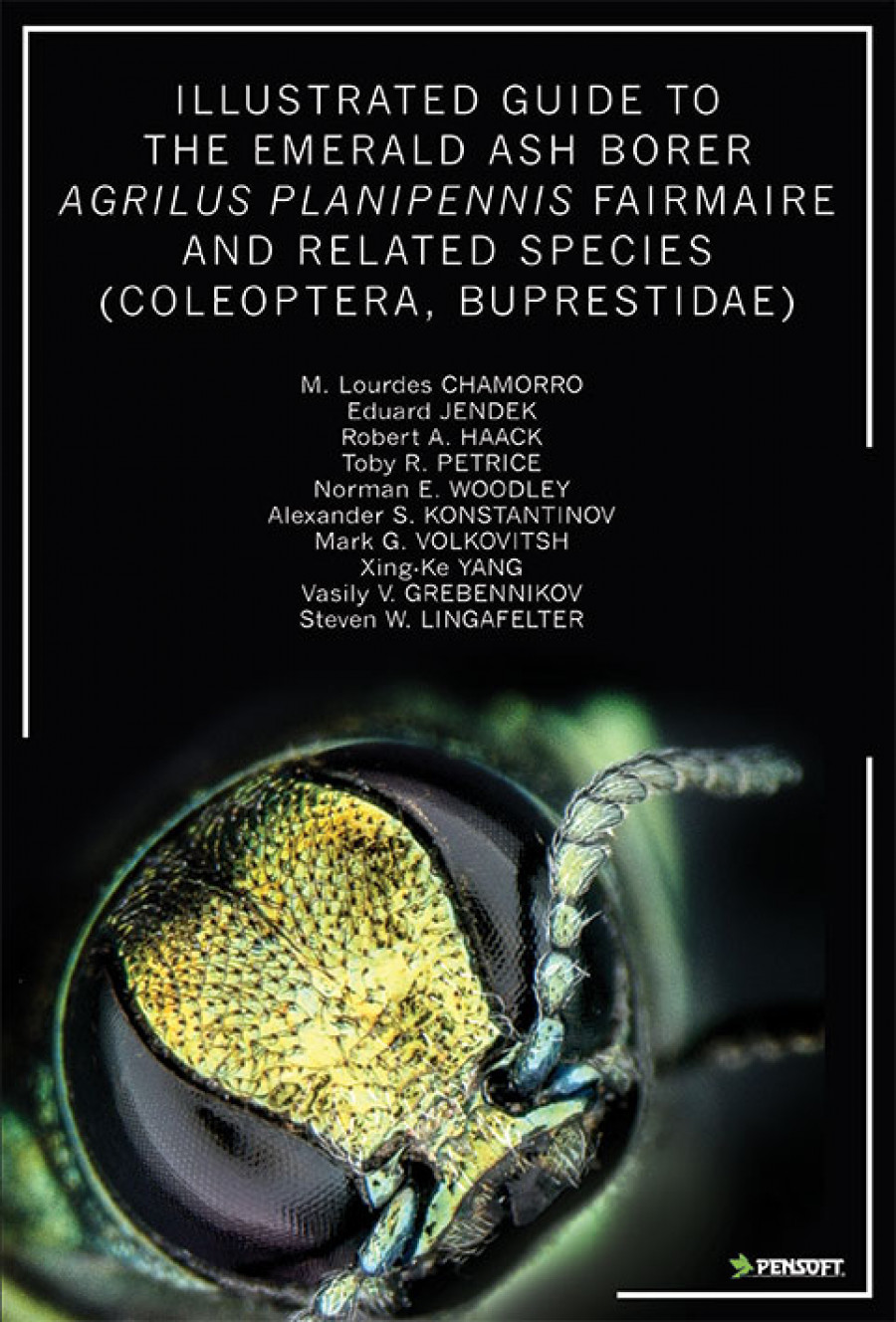 Illustrated Guide To The Emerald Ash Borer Agrilus Planipennis Fairmaire And Related Species (Coleoptera, Buprestidae)