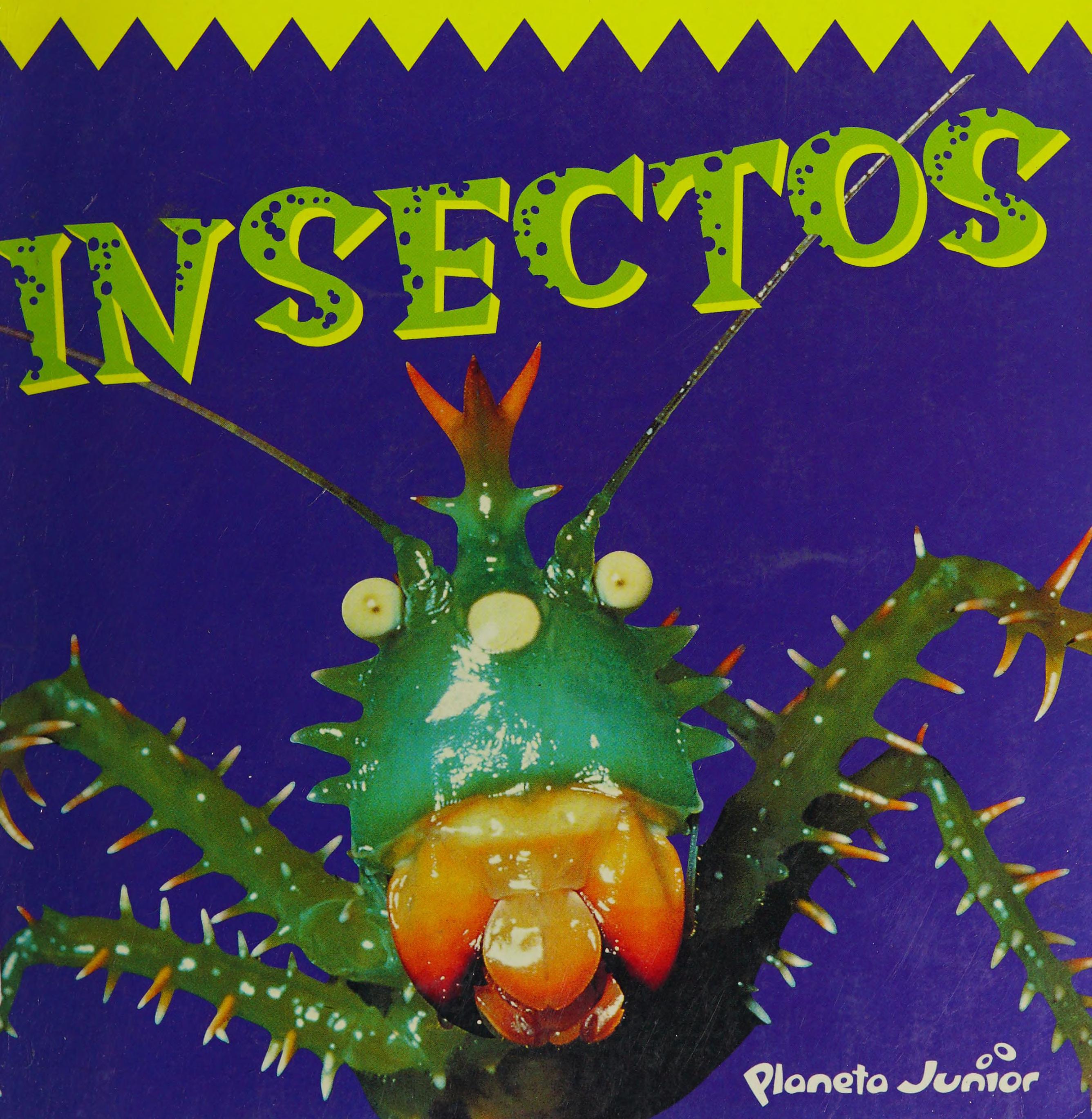 Insectos