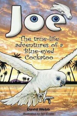 Joe